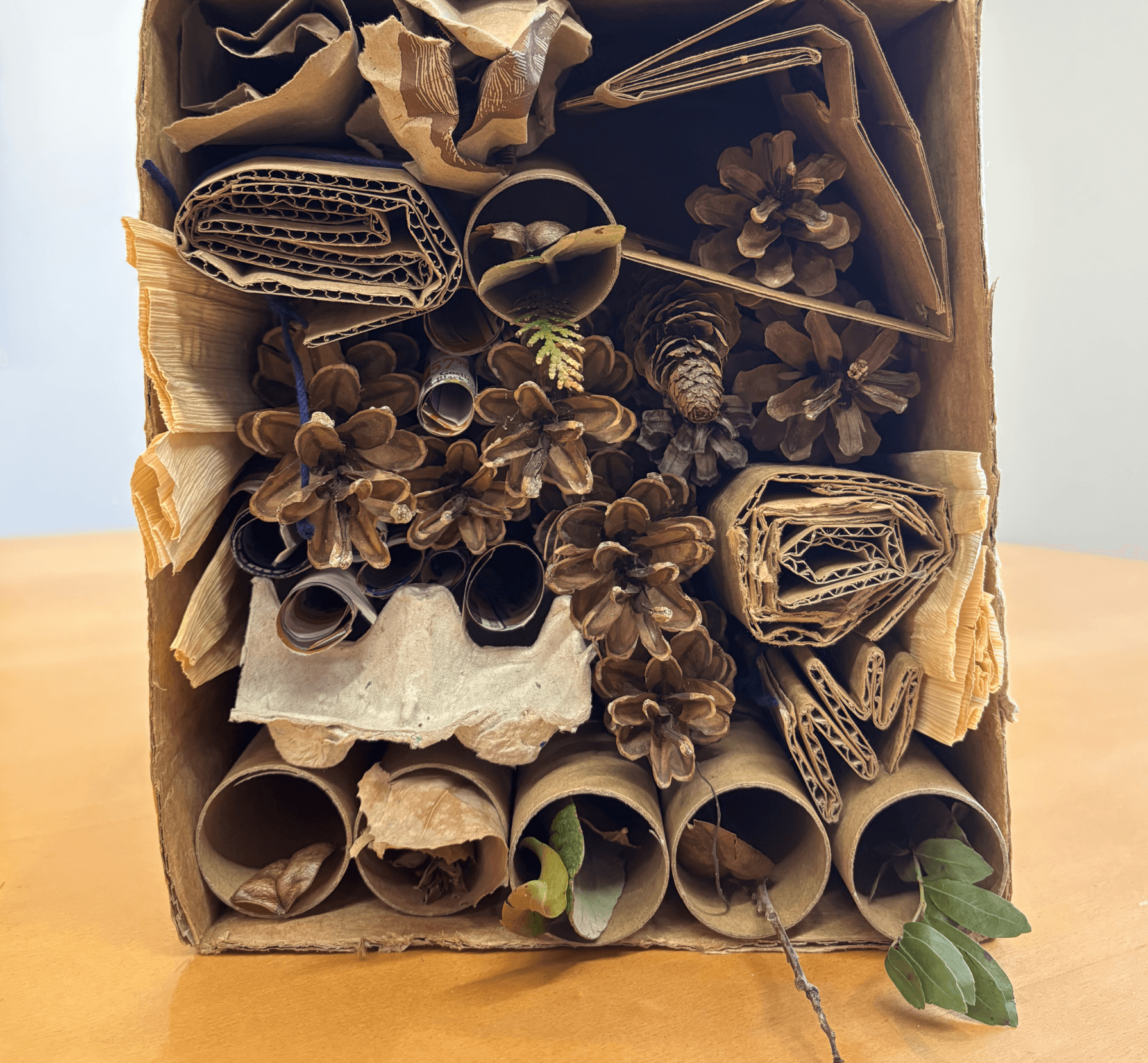 bug home with nature materials