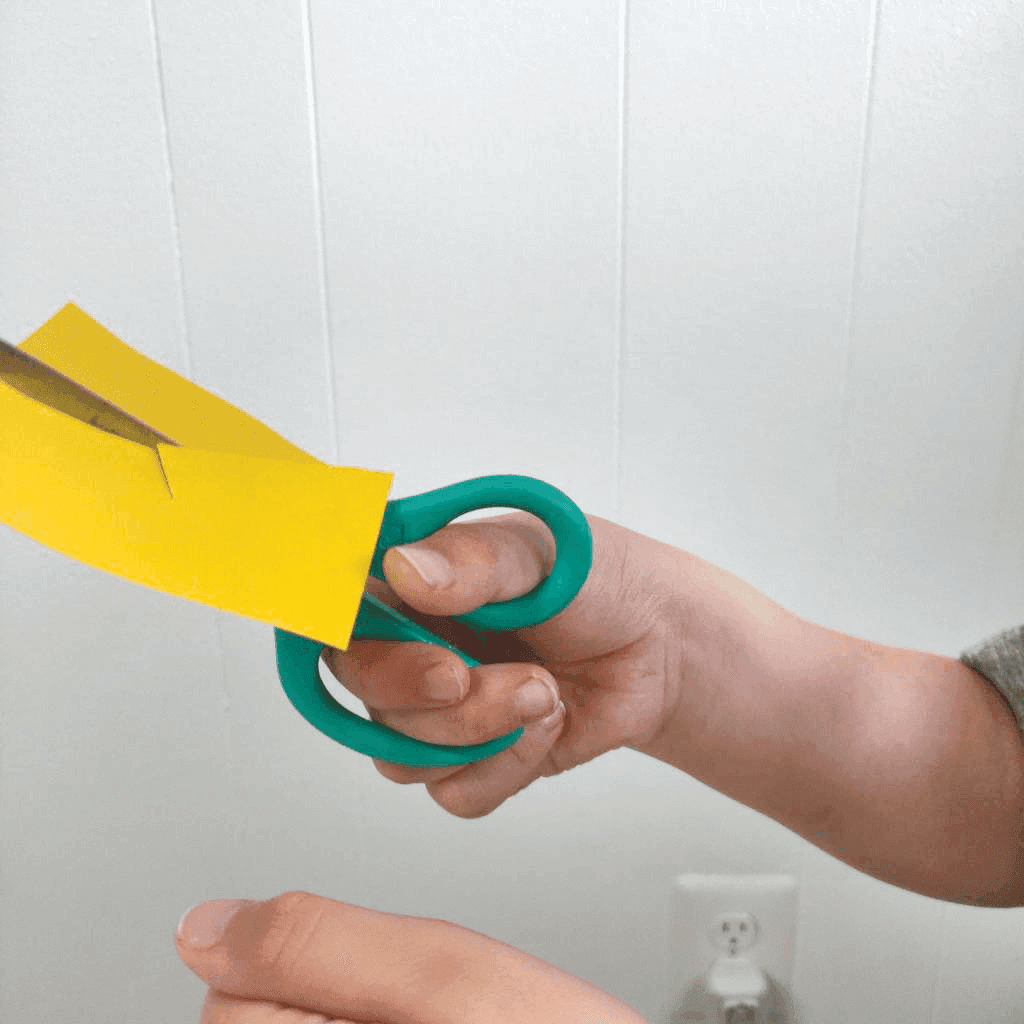 Ready, Steady, Cut