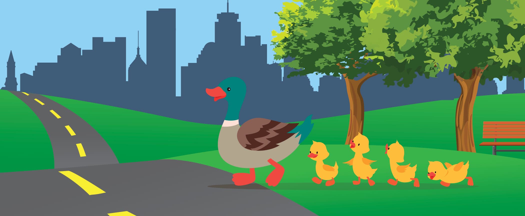 duck and ducklings crossing the street